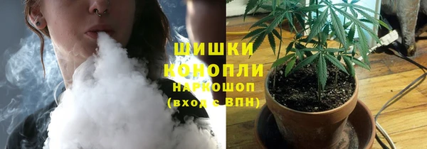 spice Рославль