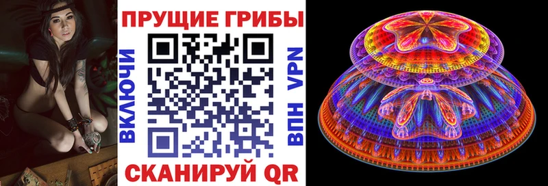 Купить закладки  Дно  Галлюциногенные грибы мицелий 